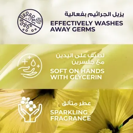 لوكس صابون سائل معطر بانتعاش اللويزة 250 مل - الصورة 9